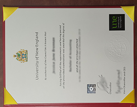 University of New England degree