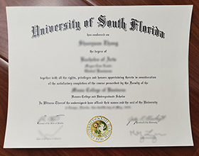 University of South Florida diploma