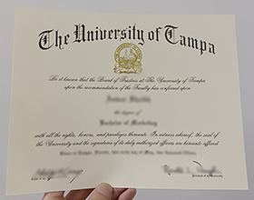 University of Tampa diploma