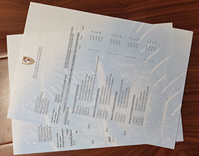 Auckland University of Technology transcript