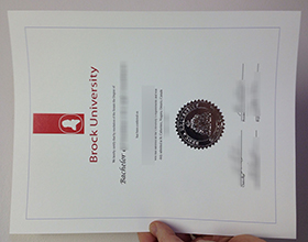 Brock University diploma