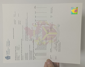 Cardiff Metropolitan University transcript