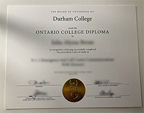 Durham College diploma