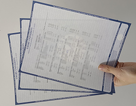 Emory University transcript