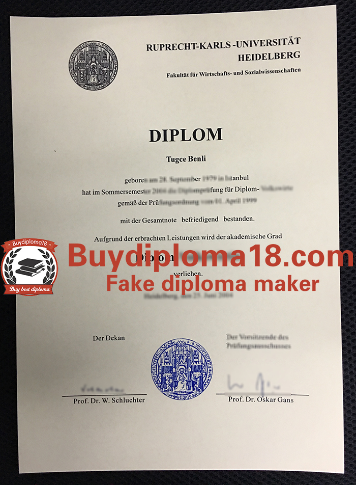 Heidelberg University diploma