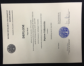 Heidelberg University diploma