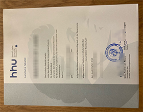 Heinrich-Heine-Universität Düsseldorf degree