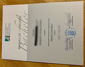 Hochschule Koblenz degree