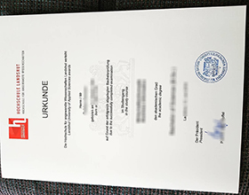 Hochschule Landshut Urkunde