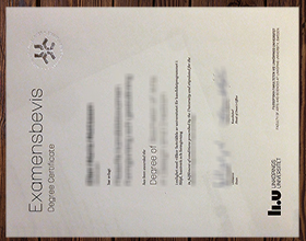 Linköpings universitet diploma