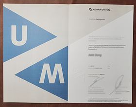 Maastricht University diploma