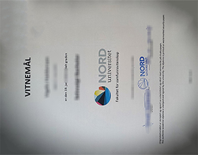 Nord universitet diploma