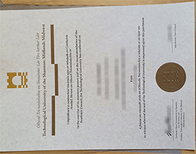 Technological University of the Shannon diploma