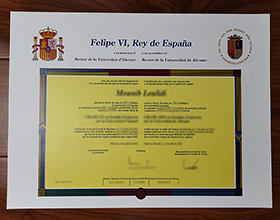 Universidad de Alicante diploma