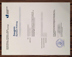 Universität Siegen Zeugnis