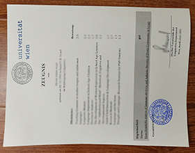 Universität Wien transcript