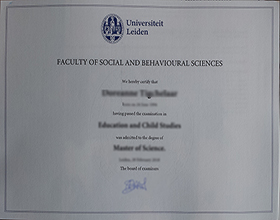 Universiteit Leiden diploma