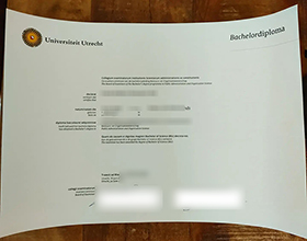 Universiteit Utrecht diploma