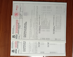 University of Calgary transcripts