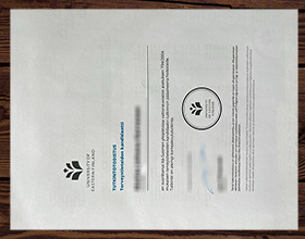 University of Eastern Finland diploma