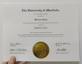 University of Manitoba degree