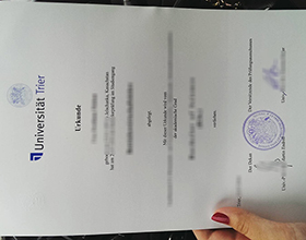 University of Trier degree
