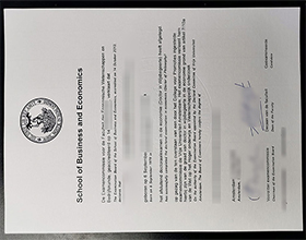 Vrije Universiteit Amsterdam diploma