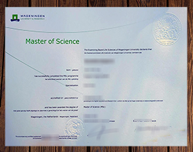 Wageningen University & Research degree