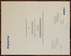 AVANS Hogeschool diploma