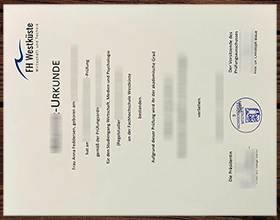 Fachhochschule Westküste urkunde
