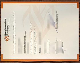 Hanzehogeschool Groningen diploma