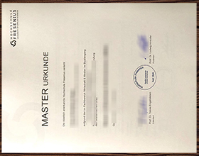 Hochschule Fresenius urkunde