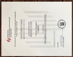 Hochschule für Wirtschaft und Gesellschaft Ludwigshafen Urkunde