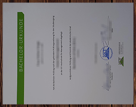 IST-Hochschule für Management Urkunde