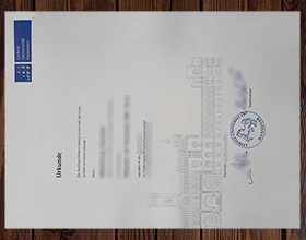 Leibniz Universität Hannover Urkunde