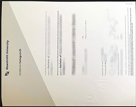 Universiteit Maastricht diploma