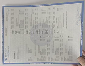 University at Buffalo transcript