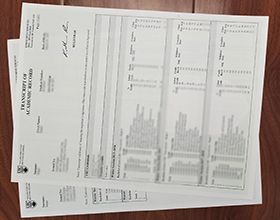 University of British Columbia transcript