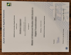 Zurich University of Applied Sciences diploma