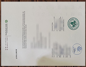 Hochschule Fulda Urkunde