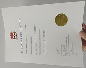 University of Sydney degree