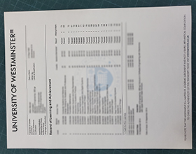 University of Westminster transcript