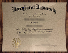 Mercyhurst University diploma