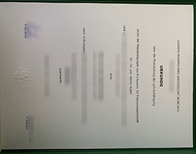 Ludwig-Maximilians-Universität München Urkunde