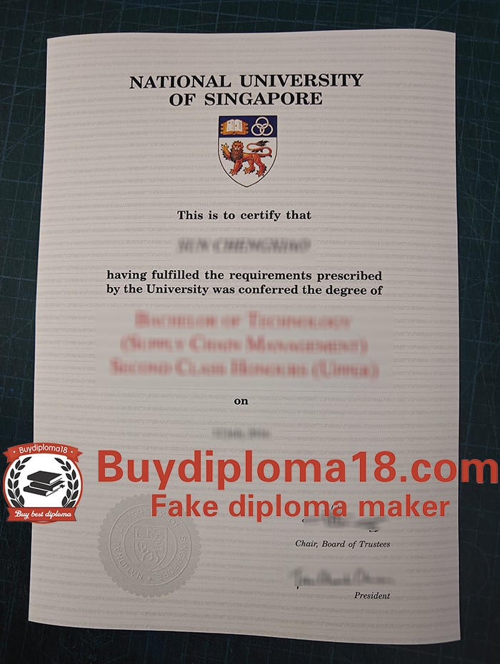 National University of Singapore diploma