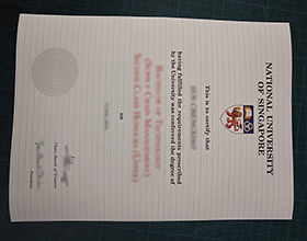 National University of Singapore diploma