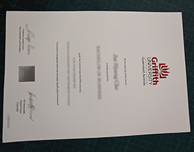Griffith University diploma